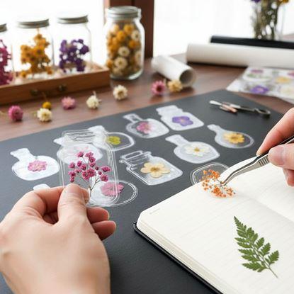 Obrázek DIY herbář - samolepky na sušené květiny 