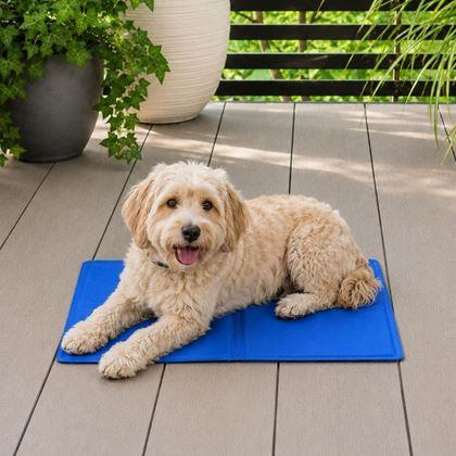 Obrázek z Chladící podložka pro psy - 50 x 40 cm