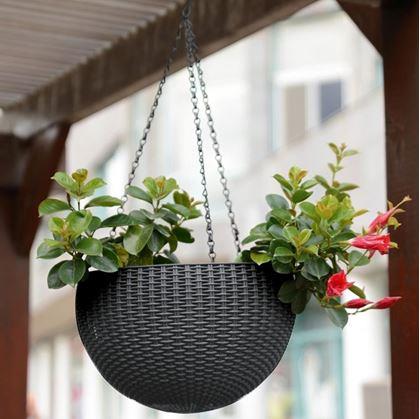 Obrázek z Závěsný květináč - průměr 17 cm
