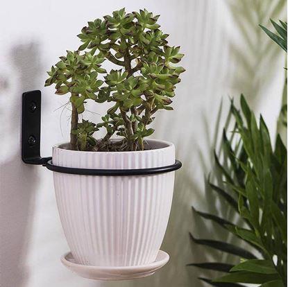 Obrázek Nástěnný držák na květináč 15 cm