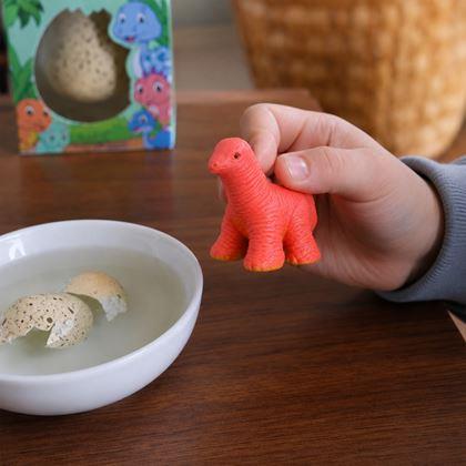 Obrázek z Magické rostoucí vajíčko - dinosaurus